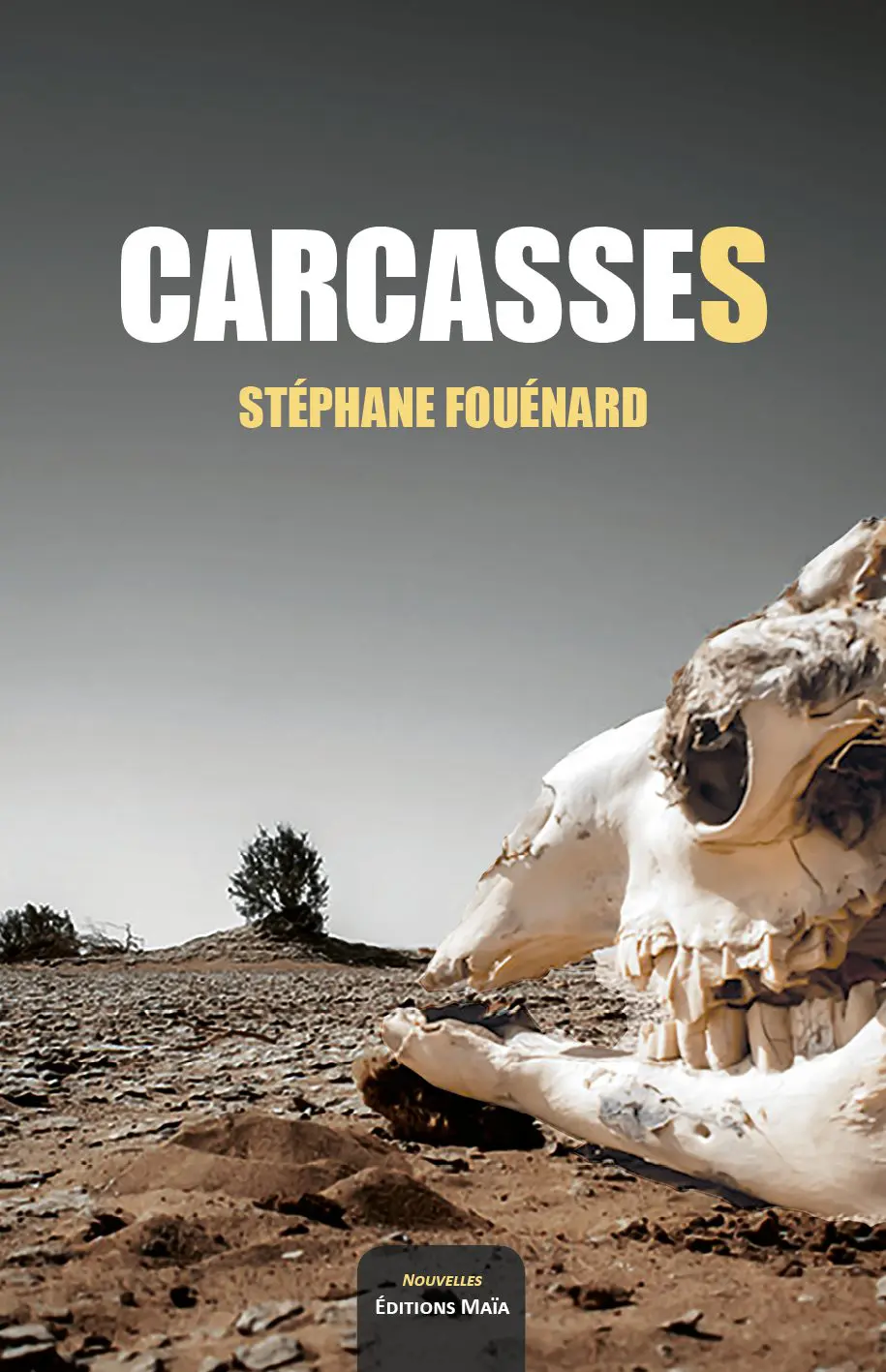 Entretien avec Stéphane Fouénard – Carcasses