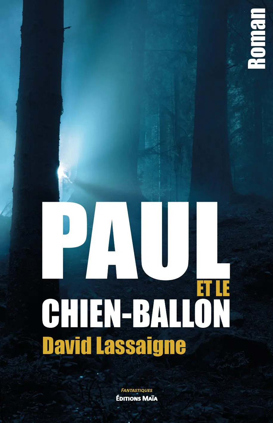 Entretien avec David Lassaigne – Paul et le chien-ballon