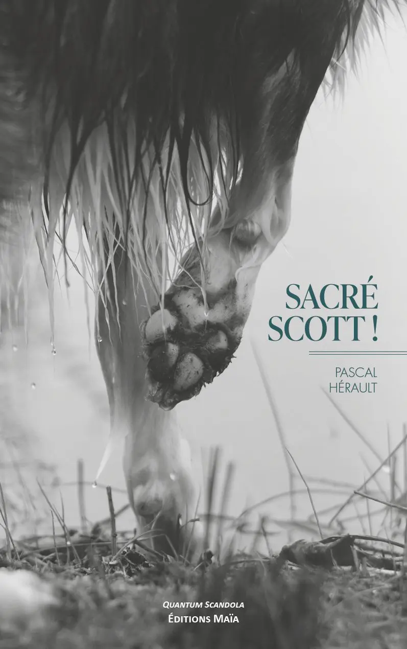 Entretien avec Pascal Hérault  – Sacré Scott !