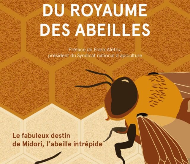 Entretien avec Michel Deguen – Dans la cité de cire du royaume des abeilles