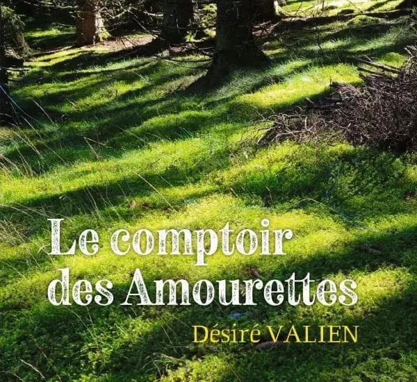 Entretien avec Désiré Valien – Le comptoir des Amourettes